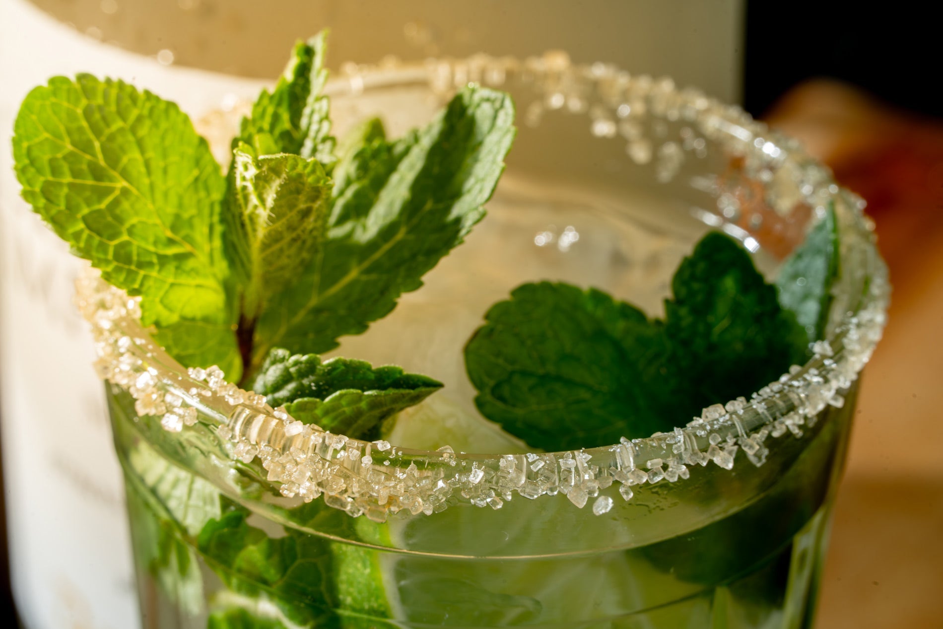 Die Alchemie im Glas: DARKGOLD Alchemy™ verständlich und spürbar